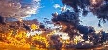 大象传媒下载app下载-探索大象传媒，下载APP的多元体验与价值